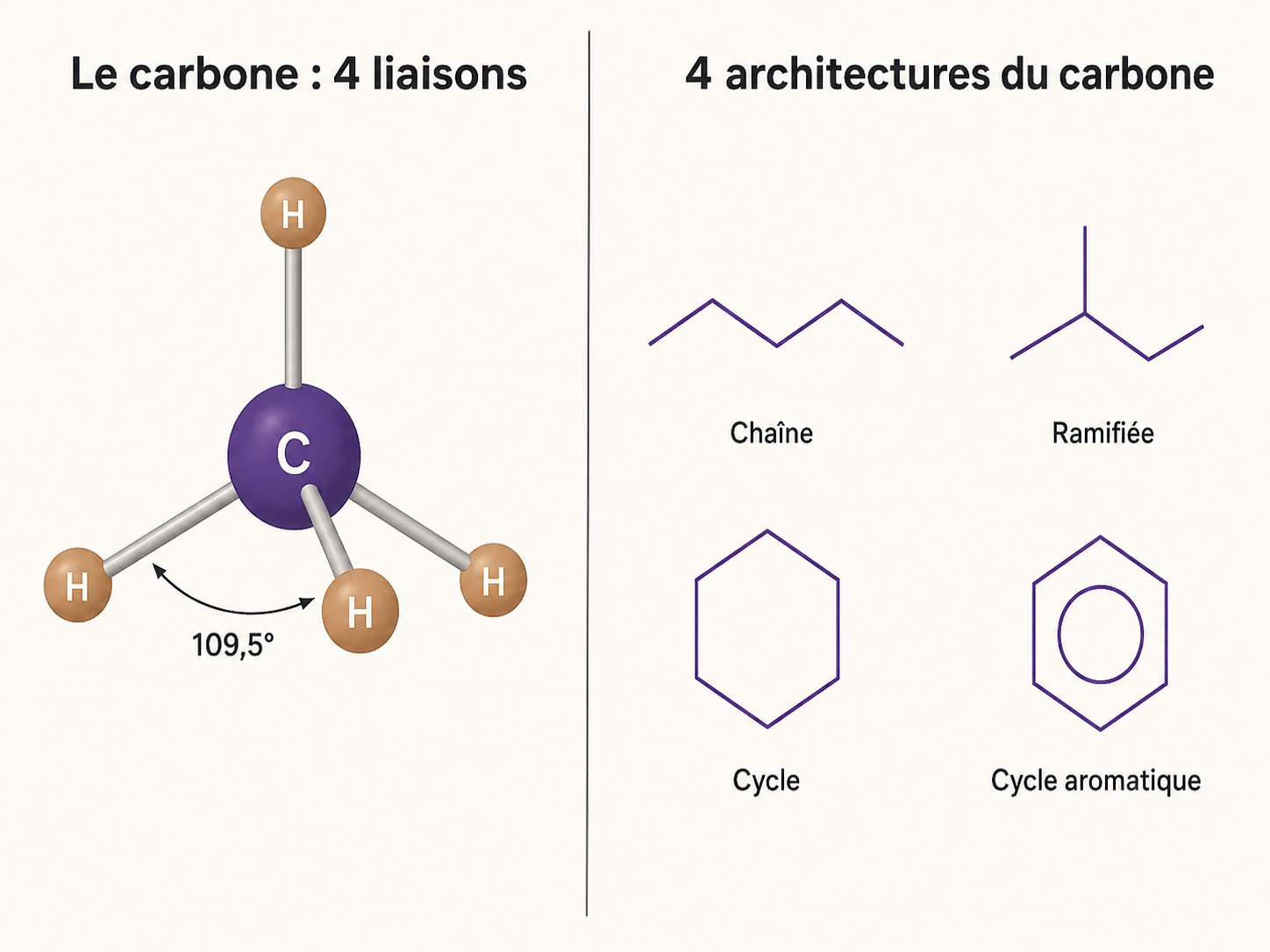 Le carbone tétraédrique et 4 squelettes carbonés : chaîne, ramification, anneau, grappe