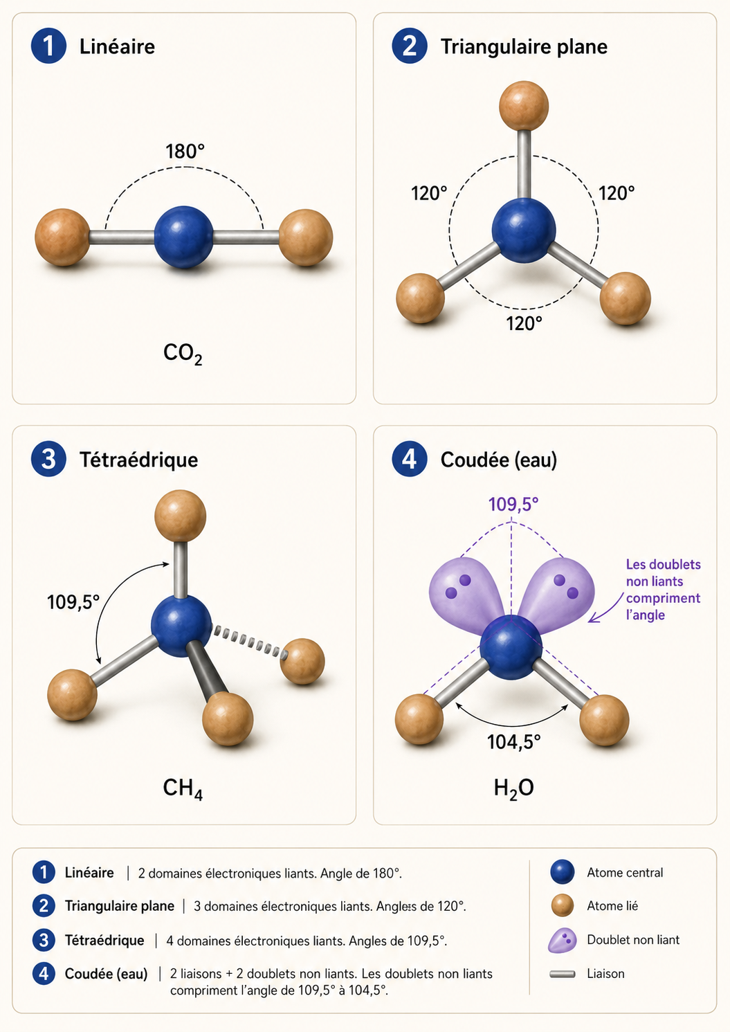 Les géométries VSEPR : linéaire 180°, triangulaire plane 120°, tétraédrique 109,5° et coudée 104,5° pour l'eau